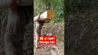 Download lagu 😱 VERY SCARY ENERGY 💪🔥 mp3