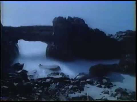 ZEBU  (Double-Time-Lapse Animation)