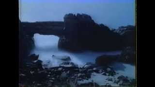 ZEBU  (Double-Time-Lapse Animation)