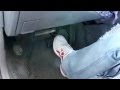 How to Bleed Your Brakes 