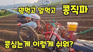 비닐피복 동시 콩심기 황금파종기 관리기 연결 [콩재배방법]