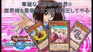【遊戯王デュエルリンクス】華麗なる植物デッキ!!薔薇の力で敵を制圧