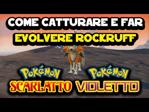 Come catturare ed evolvere Rockruff nelle tre forme su Pokemon Scarlatto e Violetto