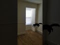 Cat Vs Bat