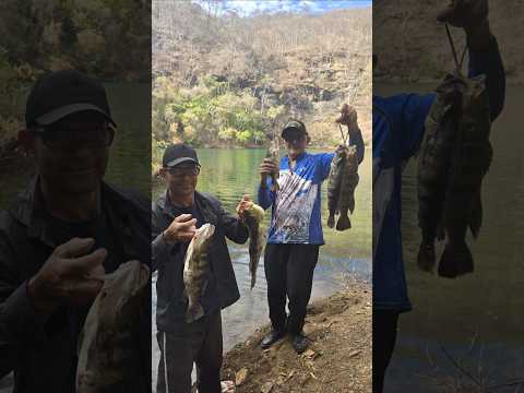 BARRAGEM DE BURITINOPOLIS GOIÁS