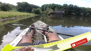 Catching BIG Bass On Senko's !! ( Kayak Fishing )
