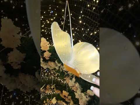 Réveillon na glória do Oeste Mato Grosso