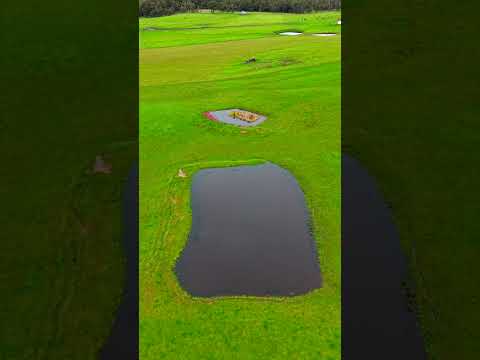 2 Patersons Road, Nyora, VIC 3987, 0 slaapkamers, 0 badkamers, Section