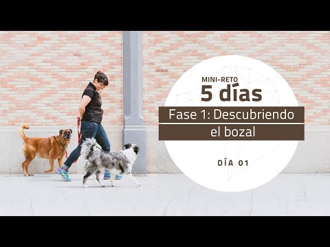 [Mini-Reto 1] Fase 1: Descubriendo el bozal