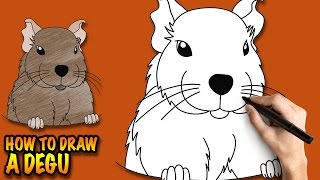 How to draw a Degu - Easy step-by-step drawing tutorial