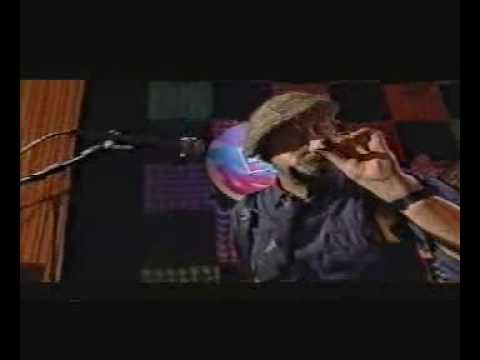 Tony Ashton performs "It's Weird" on German TV