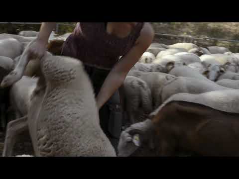 Nous la mangerons, c'est la moindre des choses