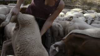 Trailer | Nous la mangerons, c'est la moindre des choses | Elsa Maury