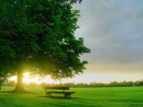 Elim Harmony - Plugul Evangheliei