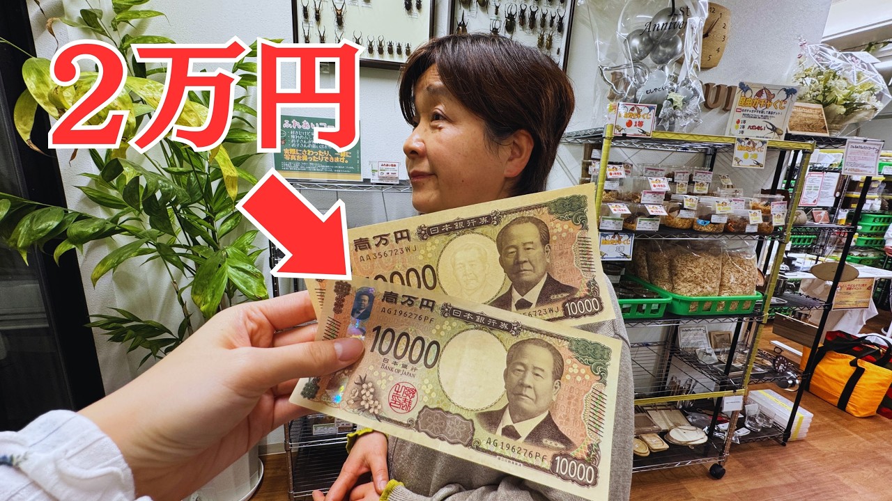 母に2万円を渡して昆虫ショプで好きに買わせた結果...まさかの生体