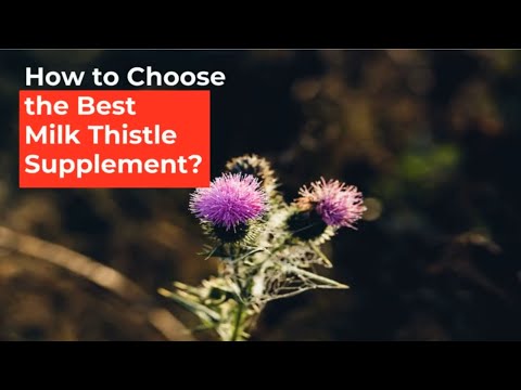 Milk Thistle Video