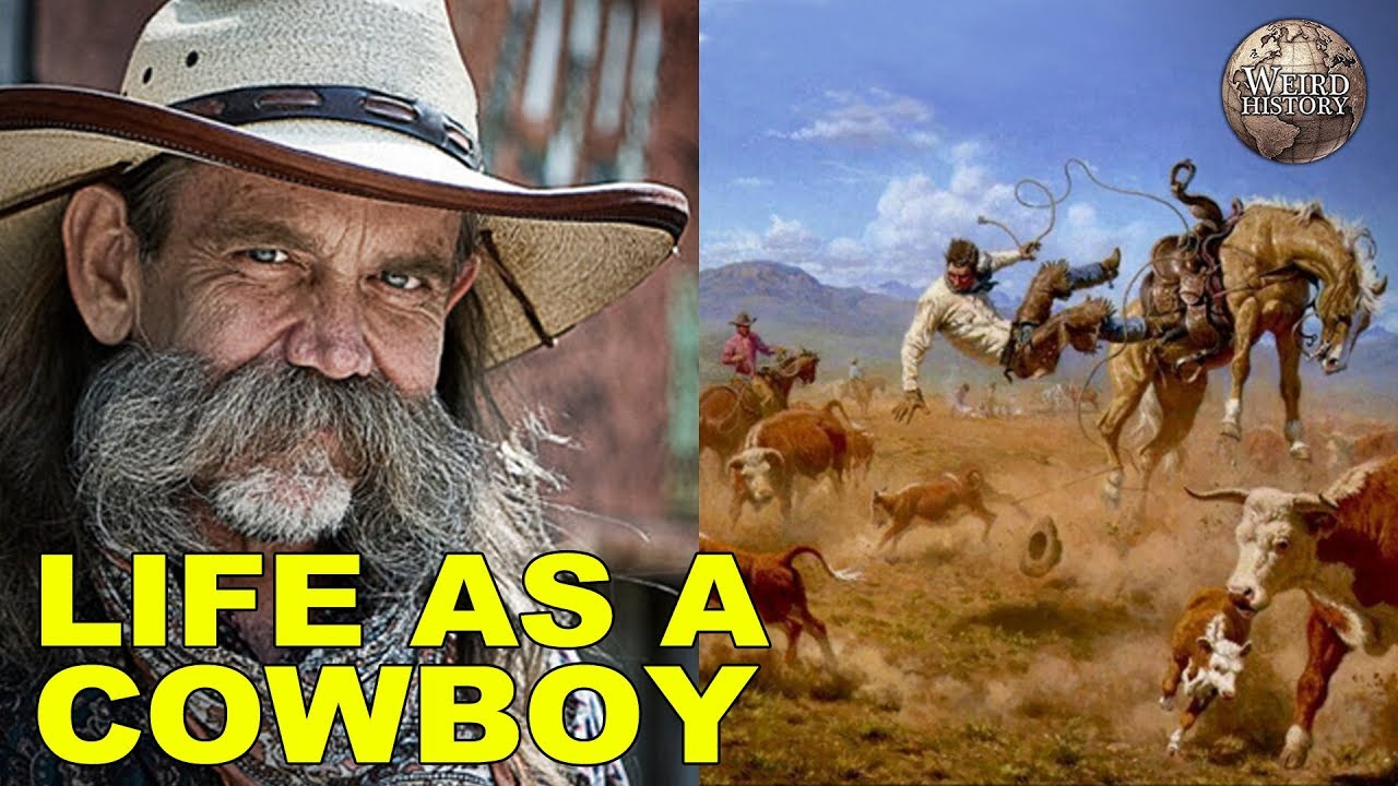 What was being a cowboy like?