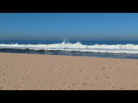 free surf ocean park maldonado Uruguay 26/08/25 RAW