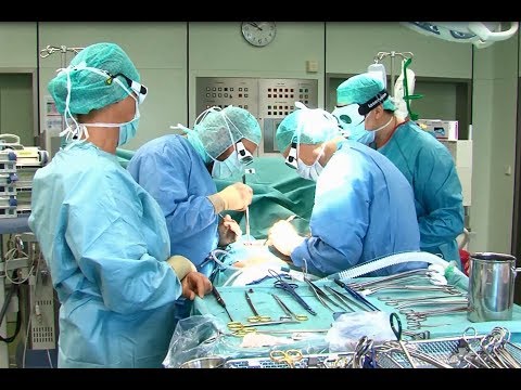 Die Übersetzung das Ekzem auf den Französischen Die Schuppenflechte vom Essig apfel-