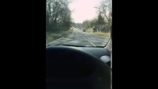 Team On Route to Brentwood!! Destructo - Nobody Else Playing on The Sunny Day