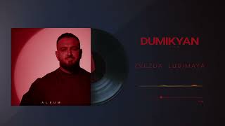 Arkadi Dumikyan - Звезда Любимая (2025)