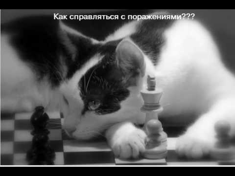 Как справляться с поражениями