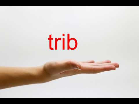 How to Pronounce trib - American English