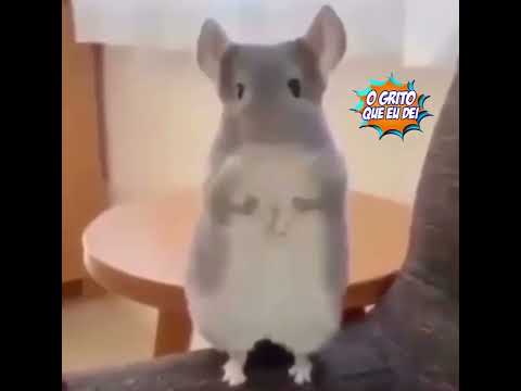 “Quantas vezes vc já surtou hoje?”  Eu: