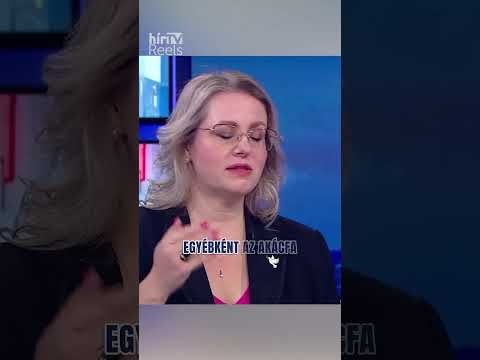 Közbiztonsági veszélyhelyzet Budapesten