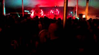 Born to be a bachelor  ~ Gaelic Storm http://GaelicStorm.co