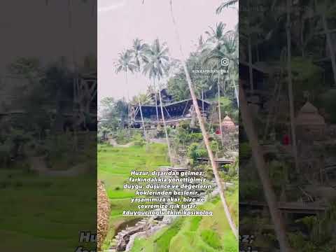 Huzur,dışarıdan gelmez;farkındalıkla.. duygu,düşünce,değerlerin… #duyguciloglu #klinikpsikolog