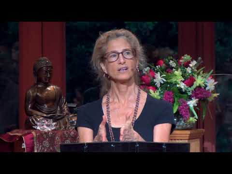 Tara Talks: Where Does It Hurt?