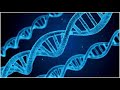 Chapter 5 Test
