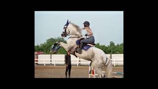 Hammer: Mom, can you do it? If not, I can do it myself. You just keep delaying my work😒