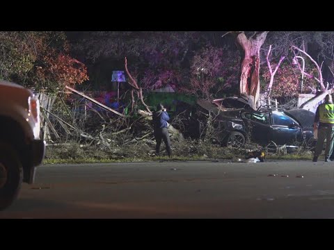 Two dead after vehicle crashes into tree, police say