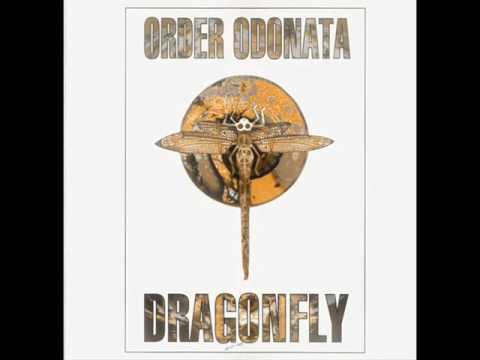 Zodiac Youth-Fast Forward to the Future(Voodoo People Remix)