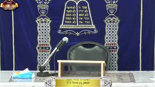 בית המדרש "תורת דוד" ¤ שידור חי ¤ כ"ח חשון תשפ"ו (19.11.2025) (מוסדות תורת דוד) - התמונה מוצגת ישירות מתוך אתר האינטרנט יוטיוב. זכויות היוצרים בתמונה שייכות ליוצרה. קישור קרדיט למקור התוכן נמצא בתוך דף הסרטון