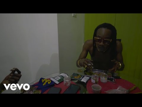 Twinkle Brain - Next Strain