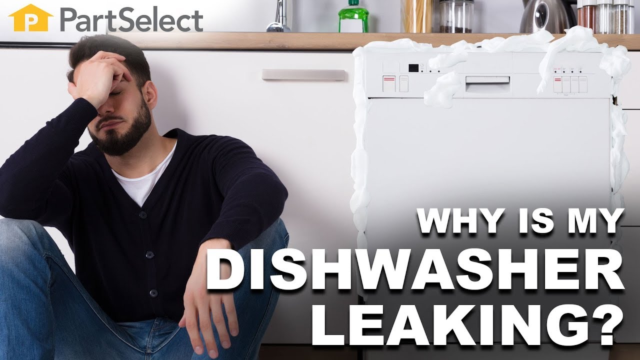 GE PDT760SSF1SS Dishwasher Leak Sensor and Insulation issue : r