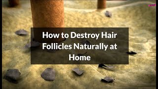 How to Destroy Hair Follicles Naturally at Home | KetchBeauty