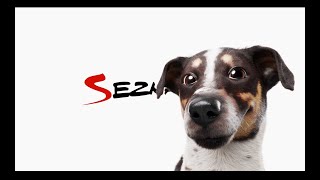 Seznam.cz: Na internetu jako doma