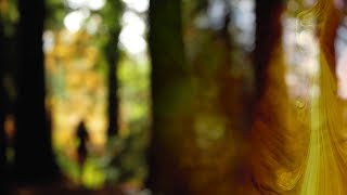 Alcest - Untouched (Unofficial Video)