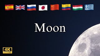 The Moon Over the World | Beautiful 4K Night Views from 10+ Countries