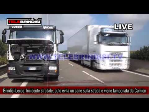 Brindisi Lecce Incidente stradale, auto evita un cane sulla strada e viene tamponata da Camion