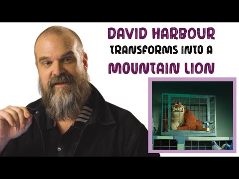 Why Is This Lion Locked Up Alone? | Inside the Night of the Zoopocalypse with Dan Harbour
