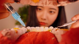 ASMR Suna 꿀꿀선아
