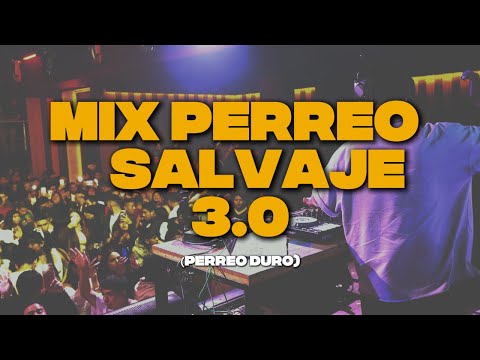MIX PERREO SALVAJE 3.0 - DJ RAULITO (Para perrear fuerte)