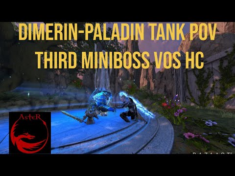Dimerin Paladin Tank POV - 3rd Miniboss VoS HC