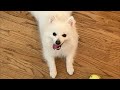 Play Video: Stop Anxious Behavior