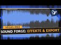 Magix VEGAS Pro Tutorial Effekte Und Export